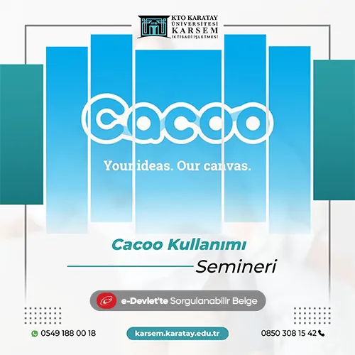 Cacoo Kullanımı Semineri