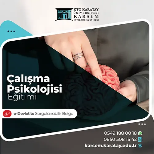 Çalışma Psikolojisi Eğitimi Eğitim Programı