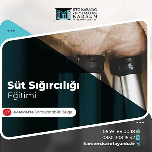 Süt Sığırcılığı Eğitim Programı 