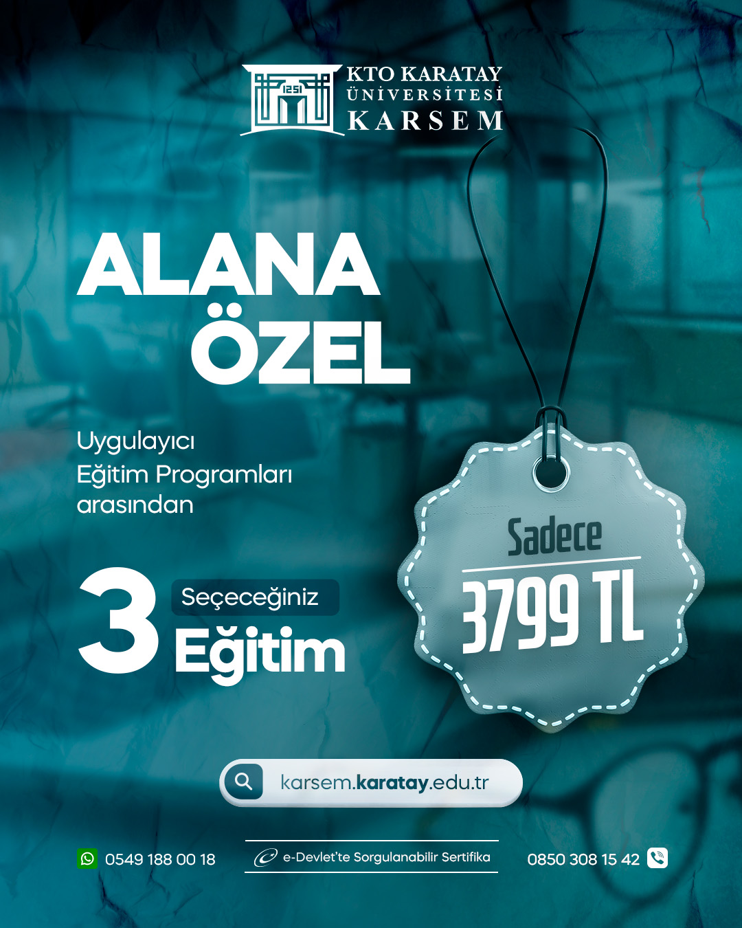 Alana Özel Eğitim Programları