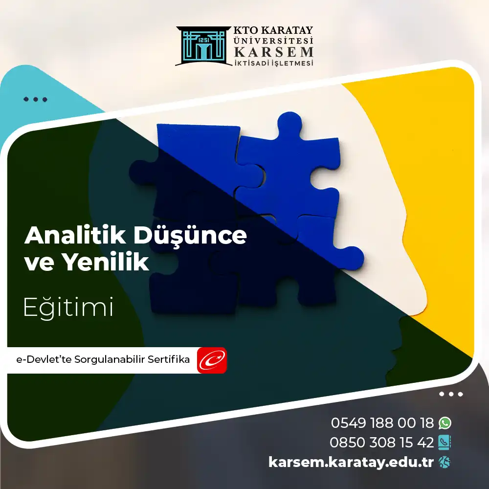 Analitik Düşünce ve Yenilik Eğitimi Sertifika Programı