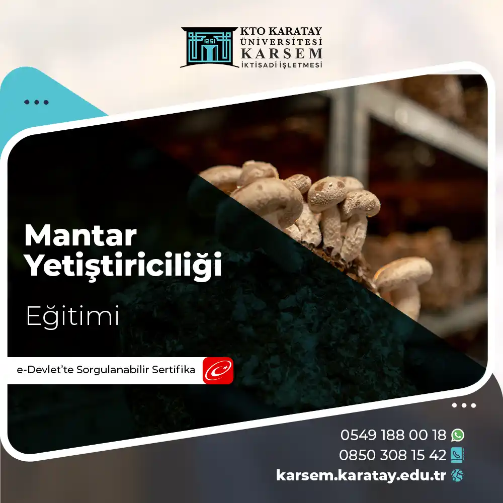 Mantar Yetiştiriciliği Eğitimi Sertifika Programı