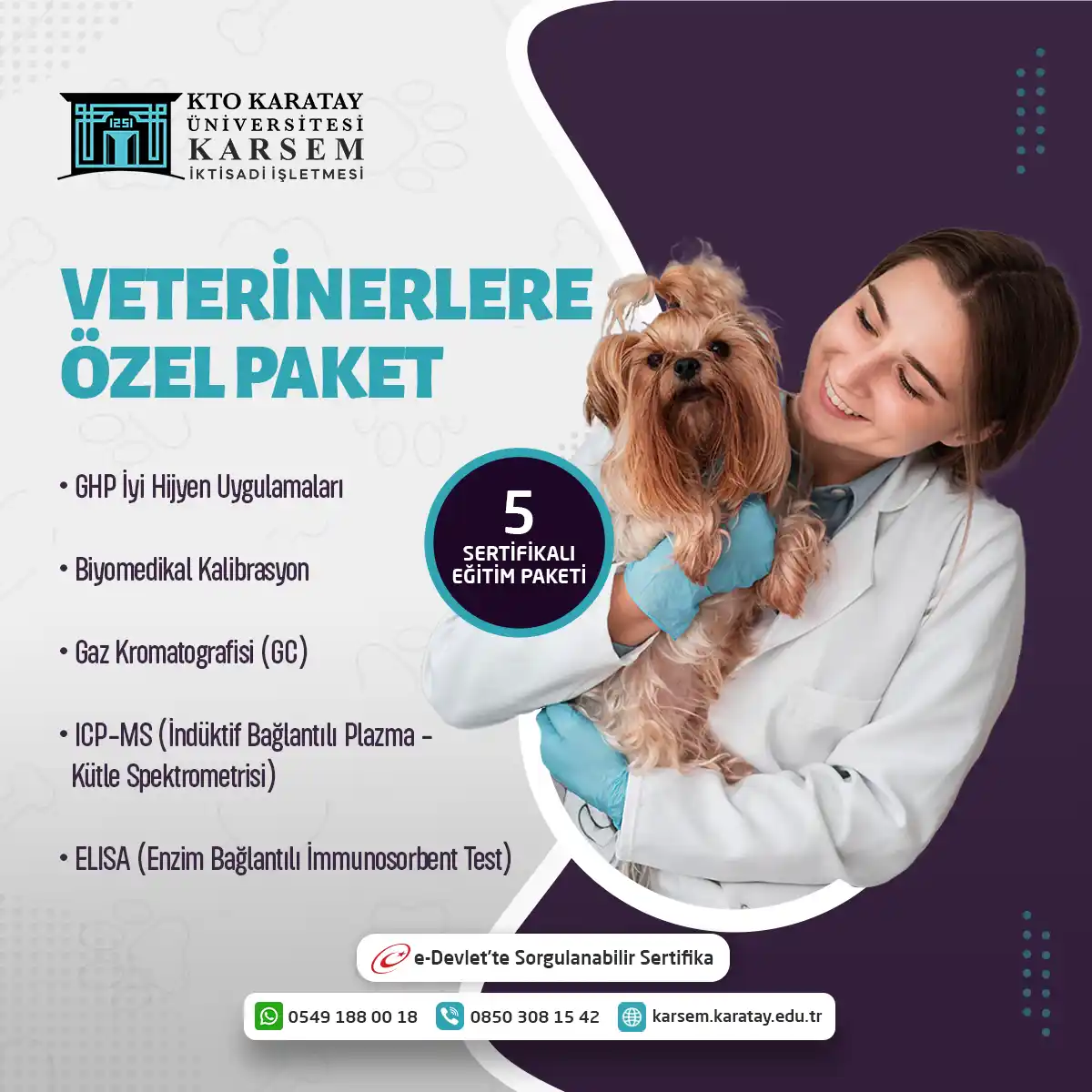 Veterinerlere Özel 5 Sertifikalı Eğitim Paketi