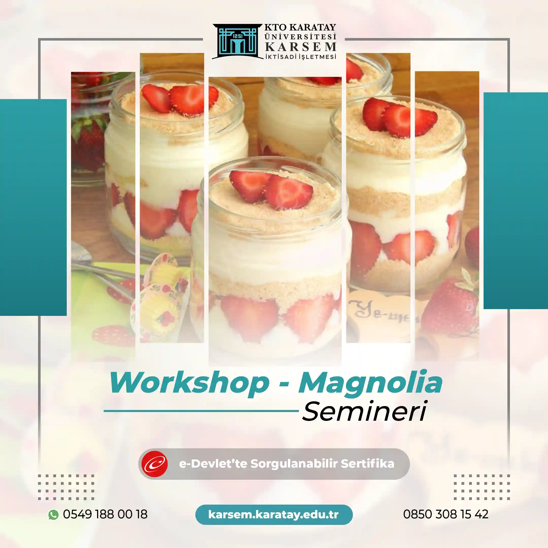 Workshop - Magnolia Semineri